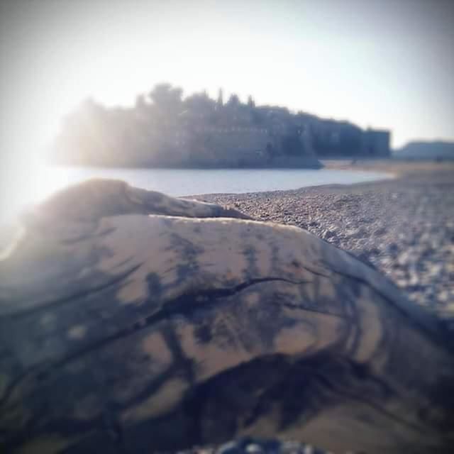 Апартаменты Apartments Vila Andja Свети-Стефан-48