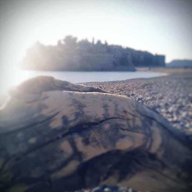 Апартаменты Apartments Vila Andja Свети-Стефан-47